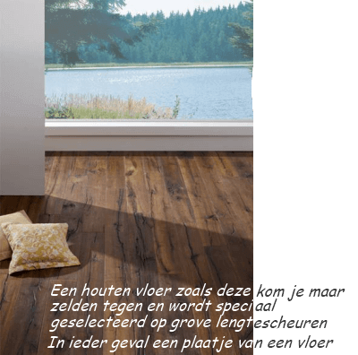 De houten vloeren website voor Haarlem
